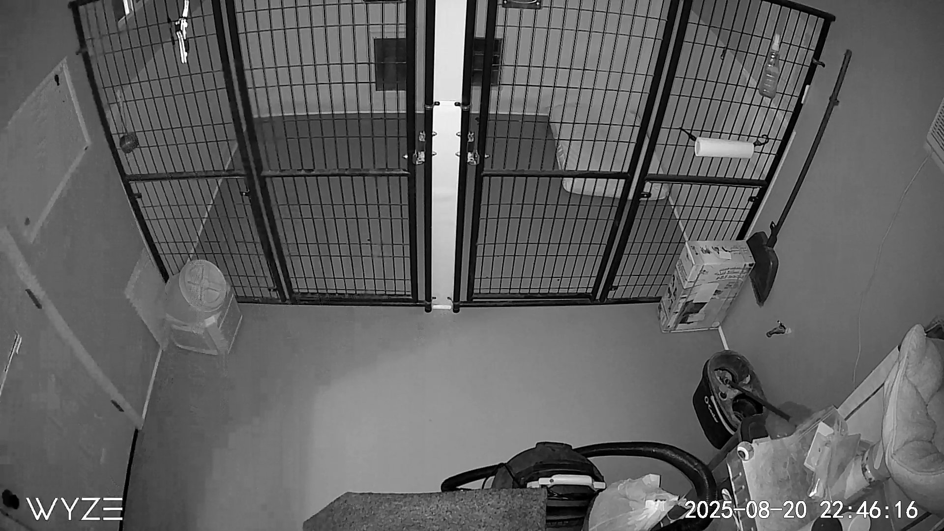View of an empty indoor space with two large black metal cages on opposite walls