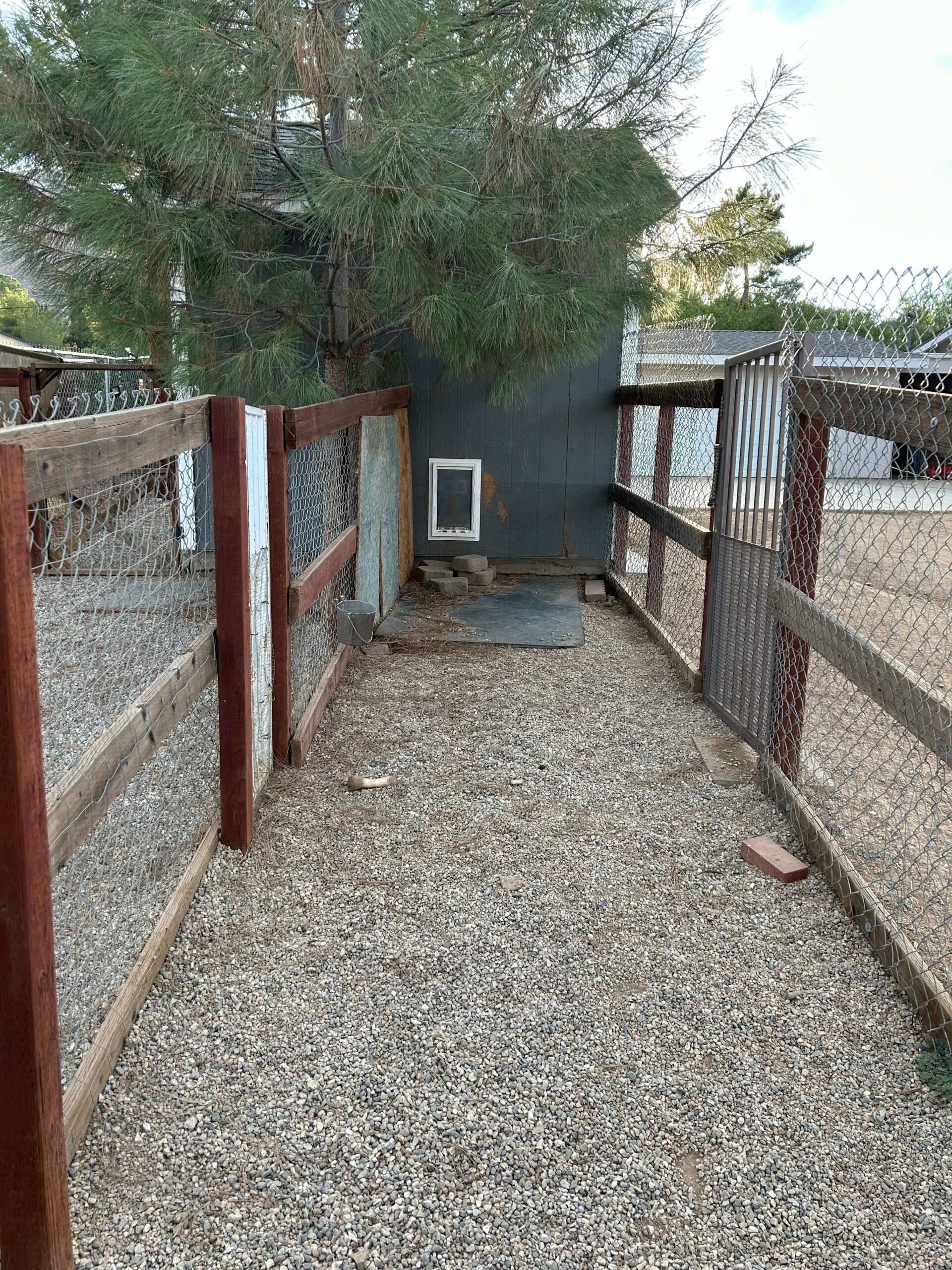 Narrow pathway leading to a dog door