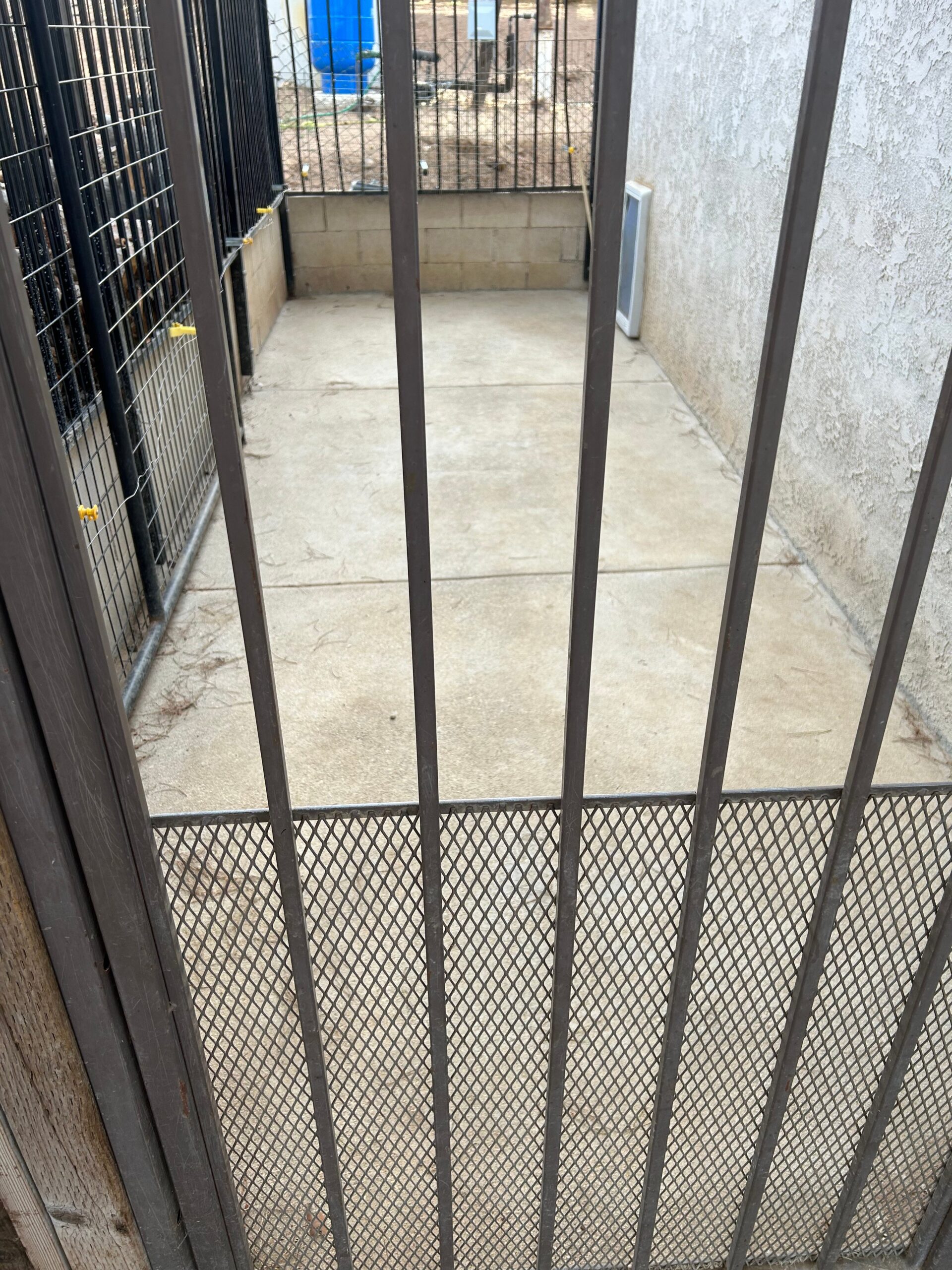 Empty fenced enclosure with a concrete floor, showing metal bars and a wall